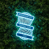 Birmingham City Neon Sign