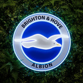 Brighton & Hove Albion Neon Sign