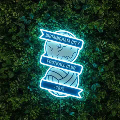 Birmingham City Neon Sign