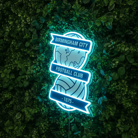 Birmingham City Neon Sign