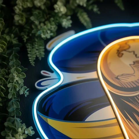 Bosnia & Herzegovina National Team Neon Sign
