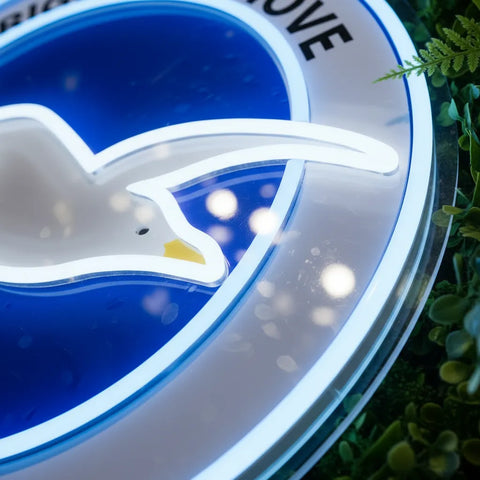Brighton & Hove Albion Neon Sign