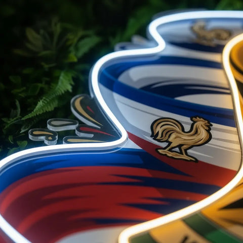 France National Team Neon Sign